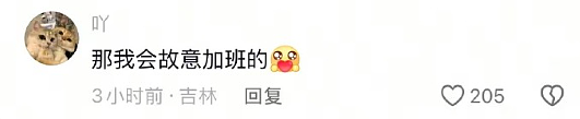 【爆笑】男朋友把头像换成和前女友一起养的猫！他是什么意思？（组图） - 13