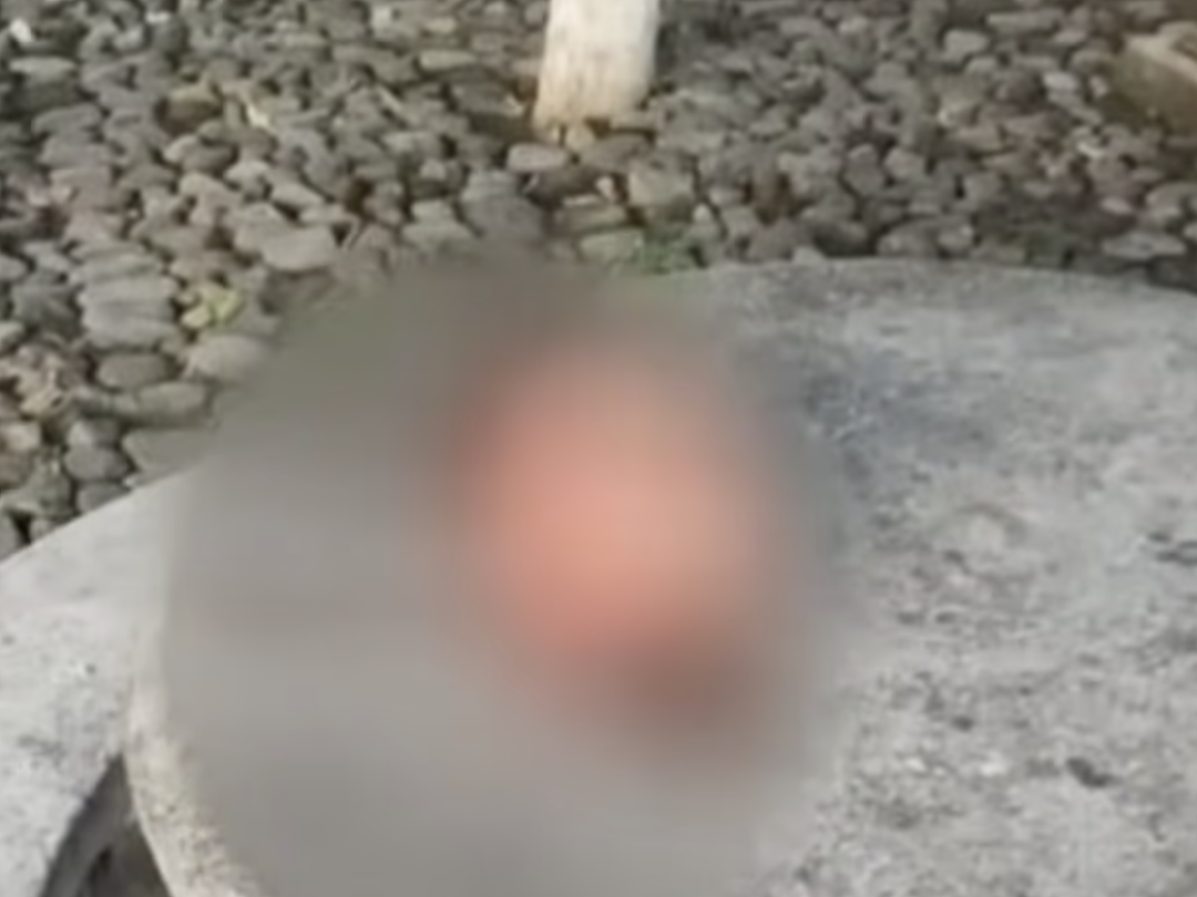 恐怖！旅游胜地爆血腥屠杀，街头惊现6颗人头，警方军队紧急出动（组图） - 4