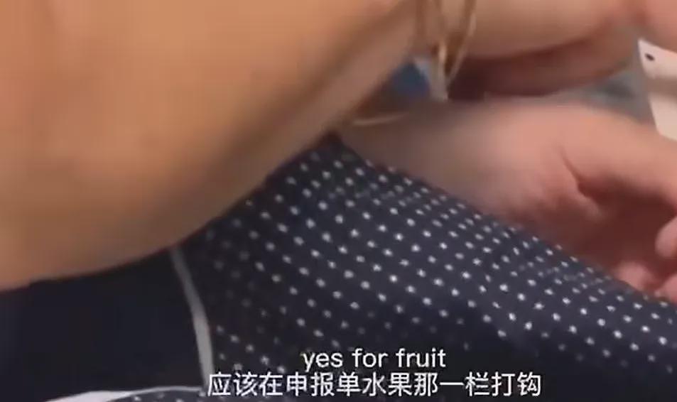 中国女子带娃大闹海关!辱骂暴打移民官致其脑震荡,法院判决引爆舆论...(组图) - 9