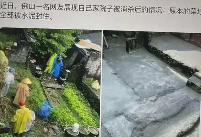 网传当地市民顶着炎热，排队抽血检查肯孔基雅热，评论区褒贬不一（组图） - 3