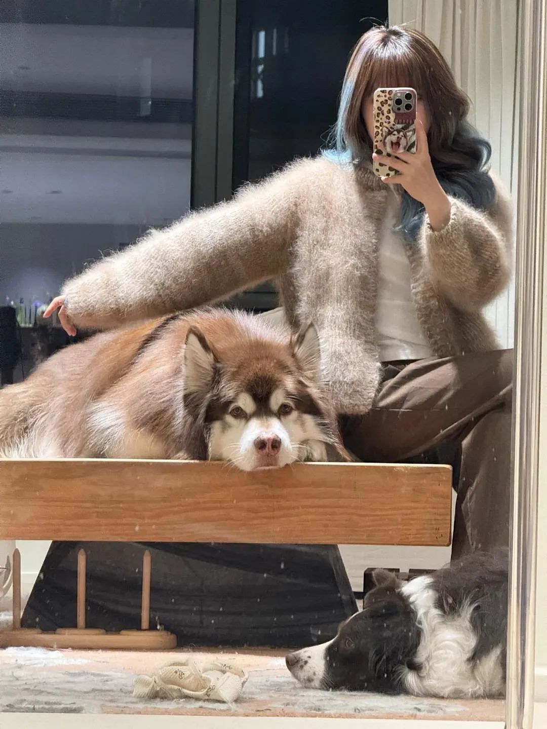 【宠物】妹子用攒了2年的狗毛,给自己和小猫织了件毛衣?网友笑喷:一家人就要整整齐齐(组图) - 6