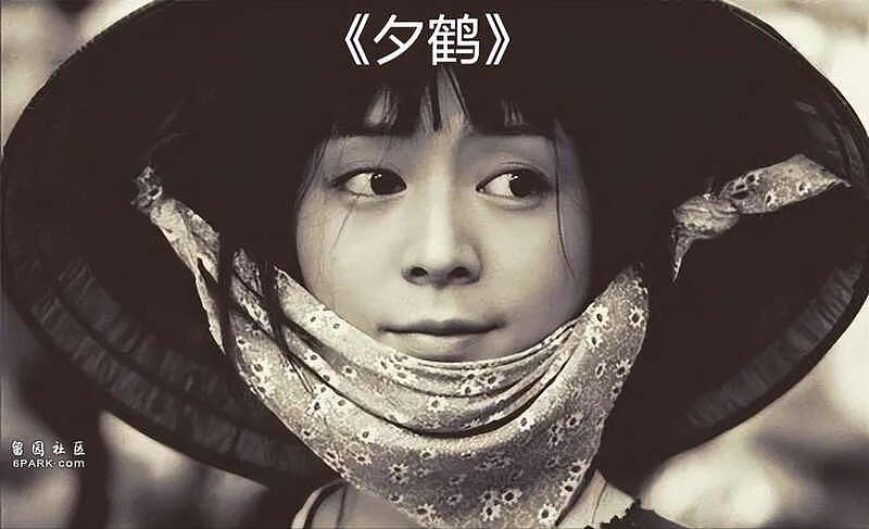 张静初毕业获赞：文艺片一姐曾因谣言跌谷底（组图） - 11
