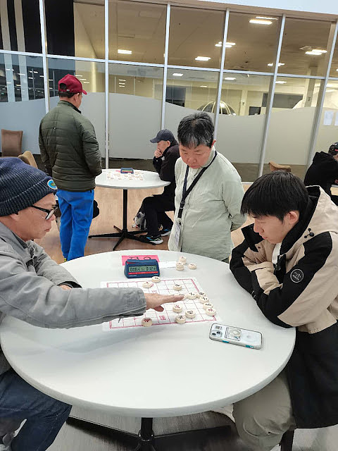 澳洲2025年“KF杯”象棋锦标赛完美成功（组图） - 2