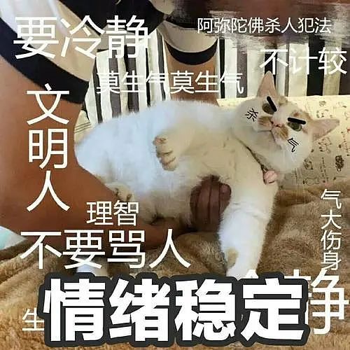 “如果没有中国，就没有新加坡…”网传中国妈妈携娃插队与本地人对骂，视频流出引热议（视频/组图） - 18