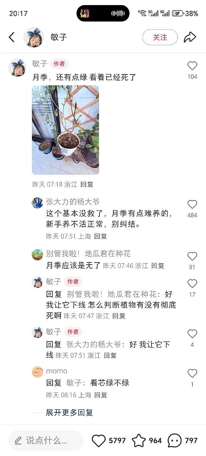 【爆笑】男朋友定了一间商务大床房,推开门我懵了!网友笑疯:这直接就是起床办公了(组图) - 6