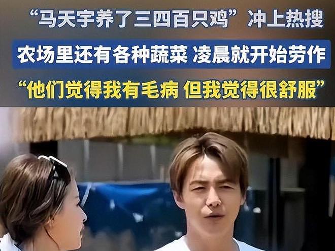 马天宇的院子又火了，仅一菜园、鸡舍就圈粉百万，一看就不是摆拍（组图） - 7