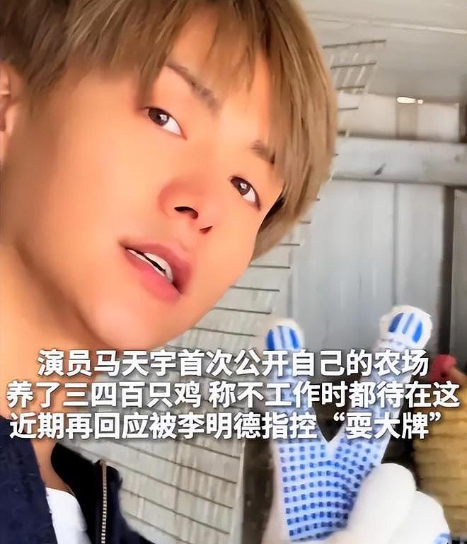 马天宇的院子又火了，仅一菜园、鸡舍就圈粉百万，一看就不是摆拍（组图） - 8