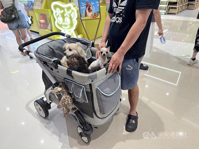 中国宠物经济快速成长，“养儿式养宠”观念盛行（图） - 1