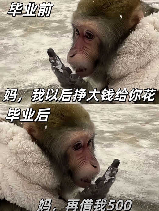 【爆笑】男朋友定了一间商务大床房,推开门我懵了!网友笑疯:这直接就是起床办公了(组图) - 62
