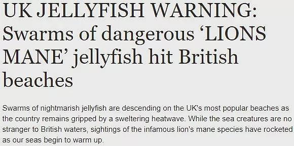 致命物种“海神”入侵西班牙度假胜地，又美丽又危险！英国网友：请神帮我们一个忙（组图） - 19
