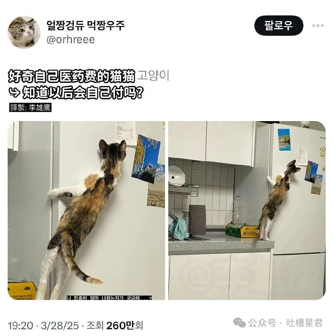 【爆笑】视奸前男友不小心点到建立恋爱关系…？哈哈哈篓子还得看别人捅（组图） - 34