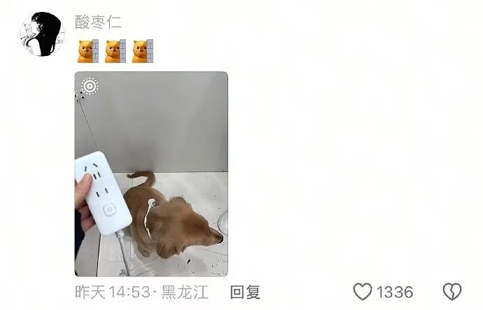 【爆笑】男朋友定了一间商务大床房,推开门我懵了!网友笑疯:这直接就是起床办公了(组图) - 26