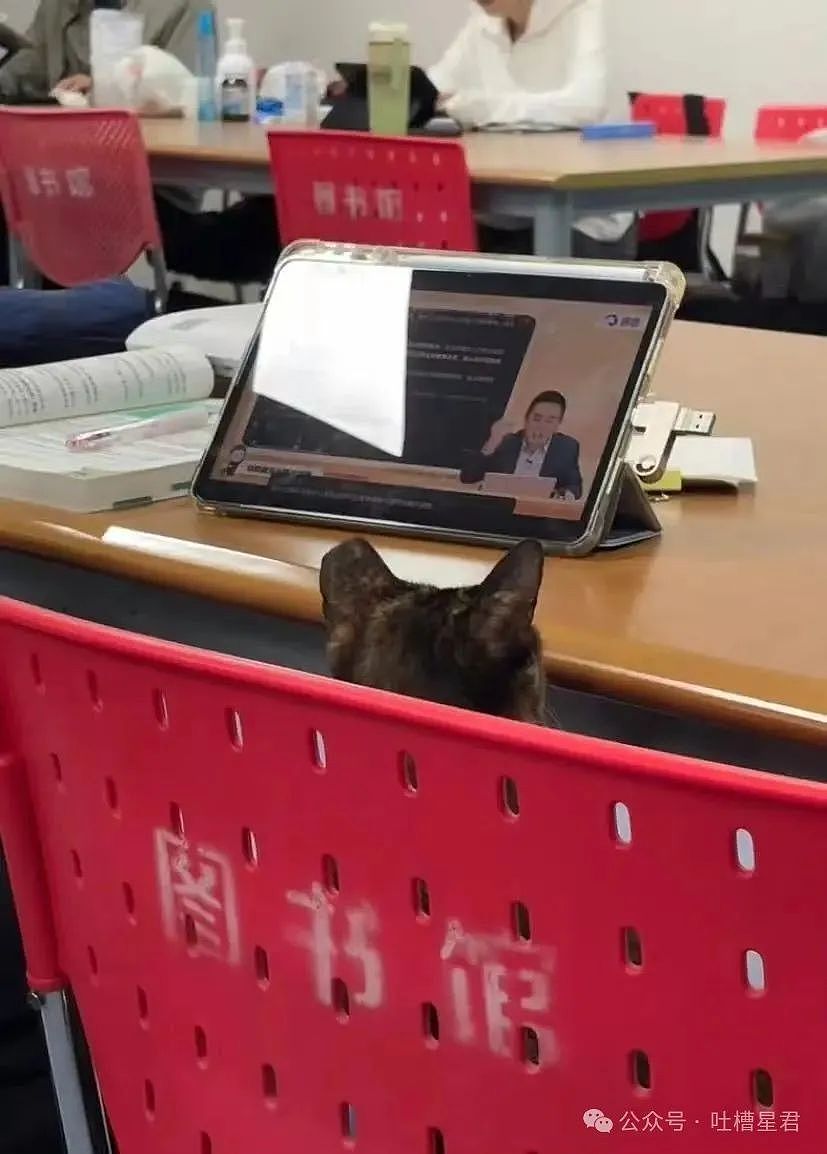 【爆笑】视奸前男友不小心点到建立恋爱关系…？哈哈哈篓子还得看别人捅（组图） - 21