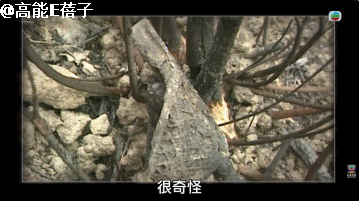 连环黑雨+奇案，香港陷入现实版“哥谭”迷雾？（组图） - 29