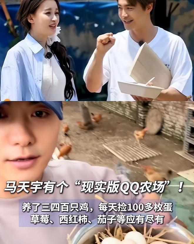 马天宇的院子又火了，仅一菜园、鸡舍就圈粉百万，一看就不是摆拍（组图） - 6