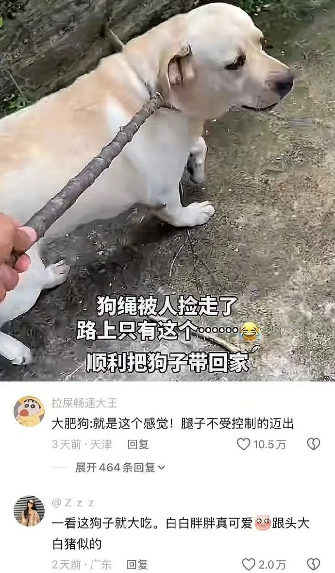 【爆笑】男朋友定了一间商务大床房,推开门我懵了!网友笑疯:这直接就是起床办公了(组图) - 30