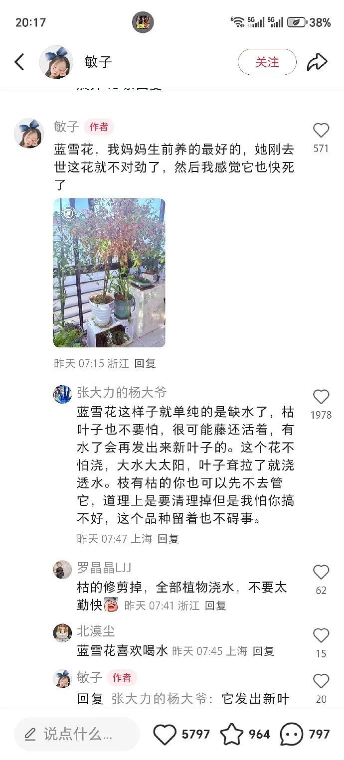 【爆笑】男朋友定了一间商务大床房,推开门我懵了!网友笑疯:这直接就是起床办公了(组图) - 9
