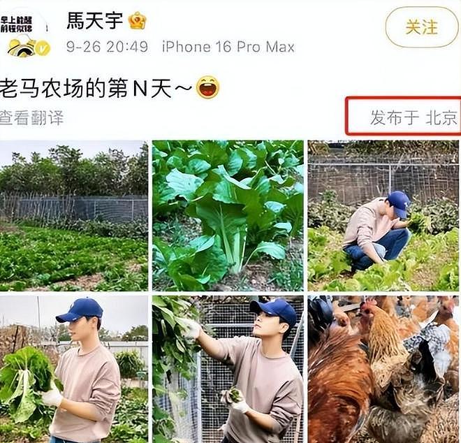 马天宇的院子又火了，仅一菜园、鸡舍就圈粉百万，一看就不是摆拍（组图） - 4