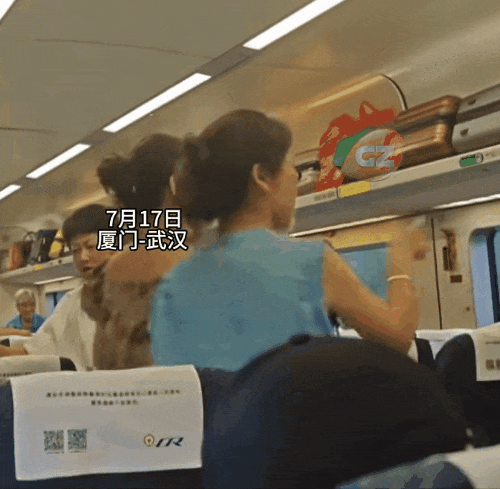 中国高铁上有些人，脸都不要了（组图） - 17