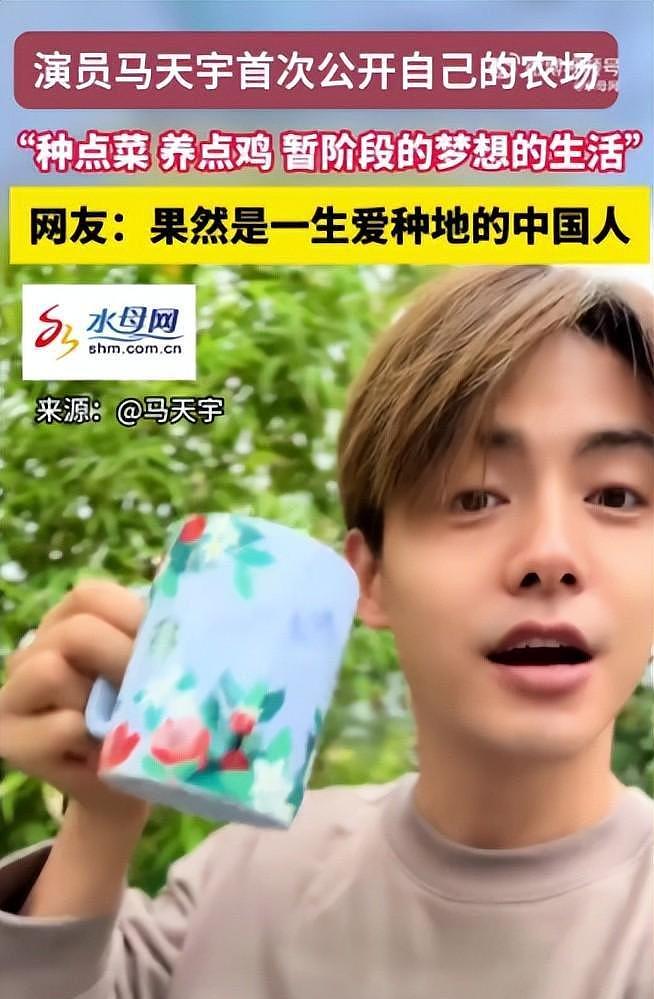 马天宇的院子又火了，仅一菜园、鸡舍就圈粉百万，一看就不是摆拍（组图） - 12