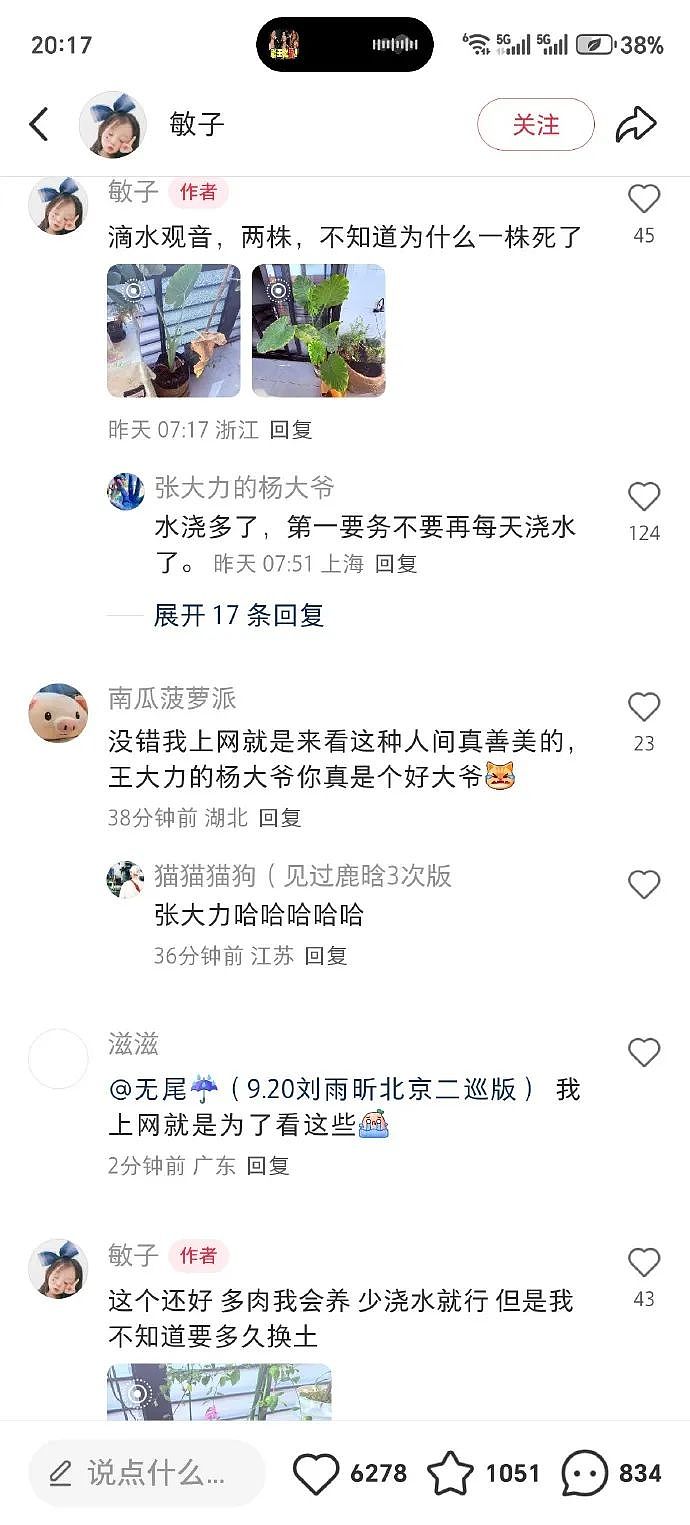 【爆笑】男朋友定了一间商务大床房,推开门我懵了!网友笑疯:这直接就是起床办公了(组图) - 8