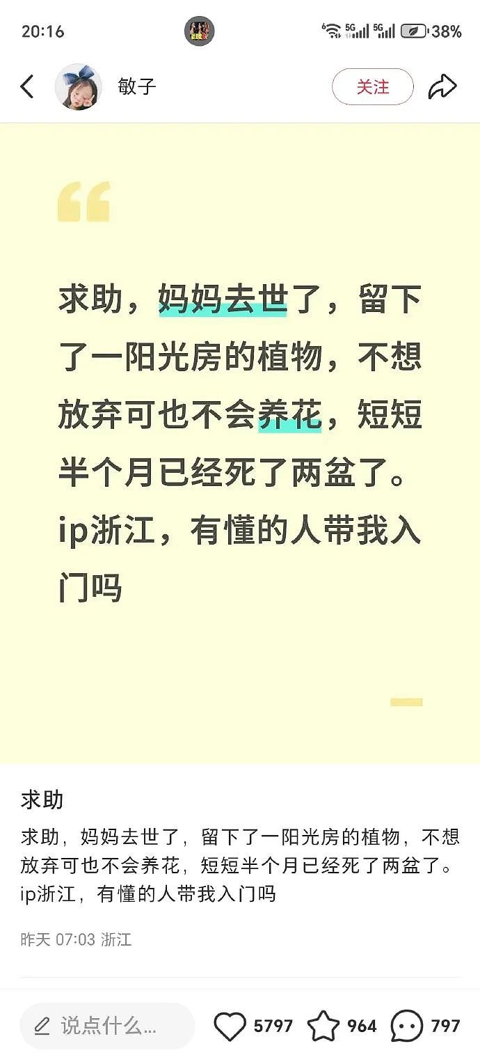 【爆笑】男朋友定了一间商务大床房,推开门我懵了!网友笑疯:这直接就是起床办公了(组图) - 5