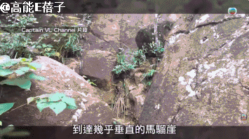 连环黑雨+奇案，香港陷入现实版“哥谭”迷雾？（组图） - 26