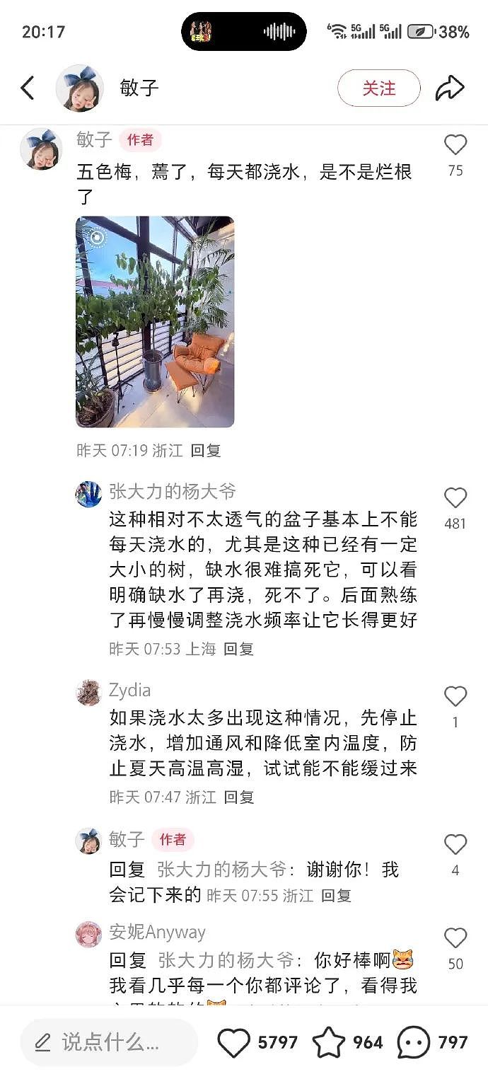 【爆笑】男朋友定了一间商务大床房,推开门我懵了!网友笑疯:这直接就是起床办公了(组图) - 7