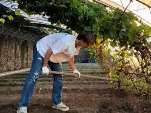 马天宇的院子又火了，仅一菜园、鸡舍就圈粉百万，一看就不是摆拍（组图） - 1