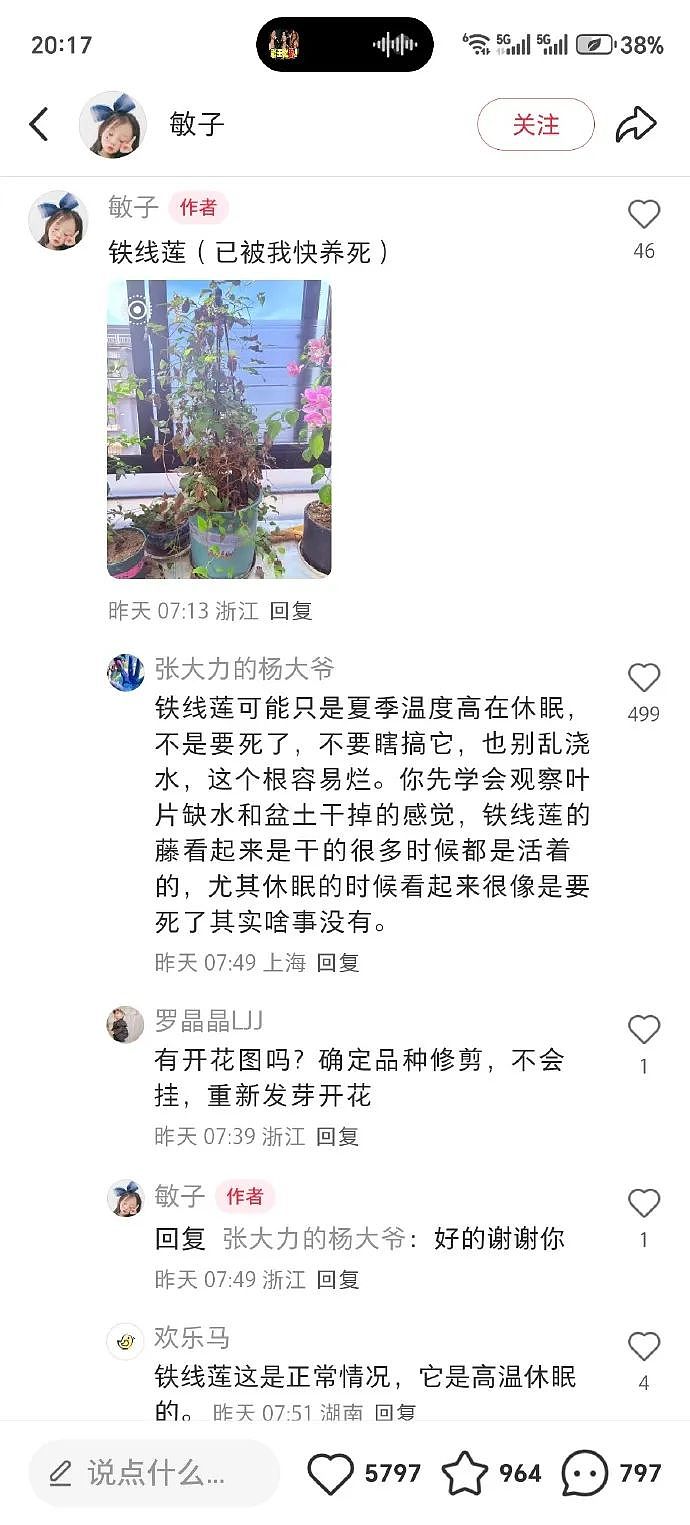 【爆笑】男朋友定了一间商务大床房,推开门我懵了!网友笑疯:这直接就是起床办公了(组图) - 10