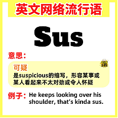 震惊!澳洲总理都开始用这些词骂人了!大家快学起来呀(组图) - 8