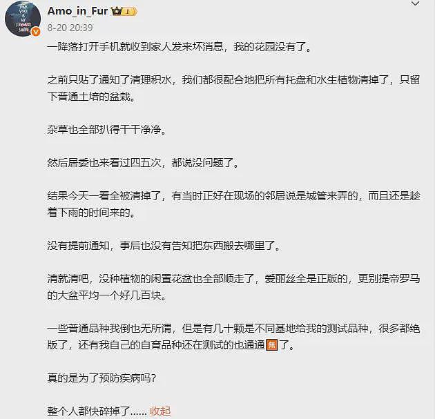 花卉博主称城管趁自己不在家,以防疫为由将花园搬空,损失或超10万(组图) - 1
