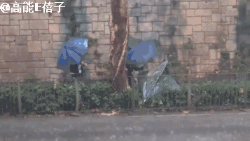 连环黑雨+奇案，香港陷入现实版“哥谭”迷雾？（组图） - 8