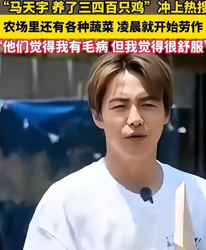 马天宇的院子又火了，仅一菜园、鸡舍就圈粉百万，一看就不是摆拍（组图） - 9