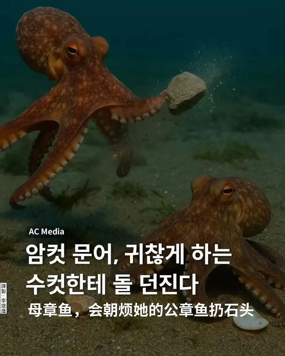 【爆笑】“错季网购了一件千元皮草后......“ 哈哈哈哈哈哈被网友笑晕过去了（组图） - 60