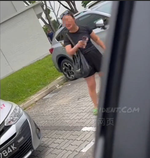 “他妈的回去中国吧，X你妈的！”新加坡停车场倒车被堵遭国骂、比中指（组图） - 4