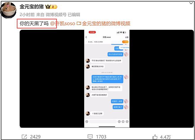 大金晒出对话录屏！许凯承认动手家暴，女方喊话他：你天黑了吗（组图） - 9