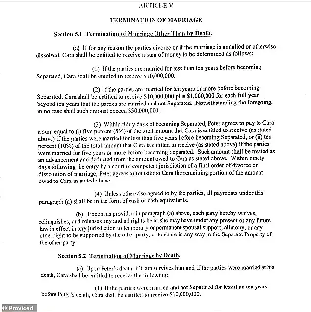 美亿万富翁继承人偷吃21岁保姆！博士妻子刚生完4胎被离婚，法庭霸气怒撕索赔超3亿？（组图） - 15
