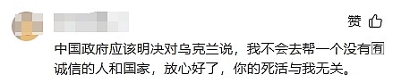 网友吵翻!泽连斯基称无需中国提供安全保障,胡锡进:很没素质(组图) - 8