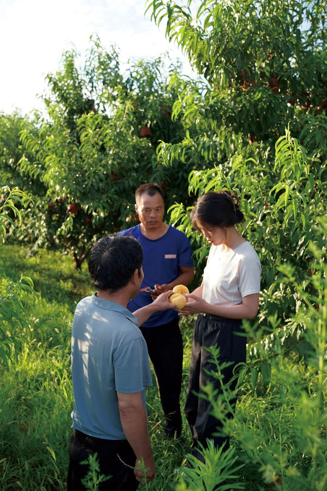 全网求着山西果农涨价！这个留洋女孩把家乡烂果子卖出奢侈品排面（组图） - 1