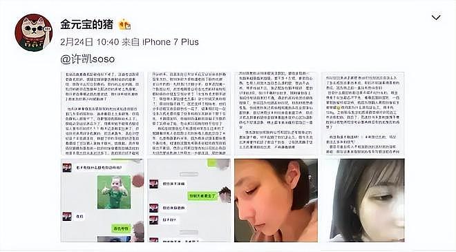 大金晒出对话录屏！许凯承认动手家暴，女方喊话他：你天黑了吗（组图） - 3