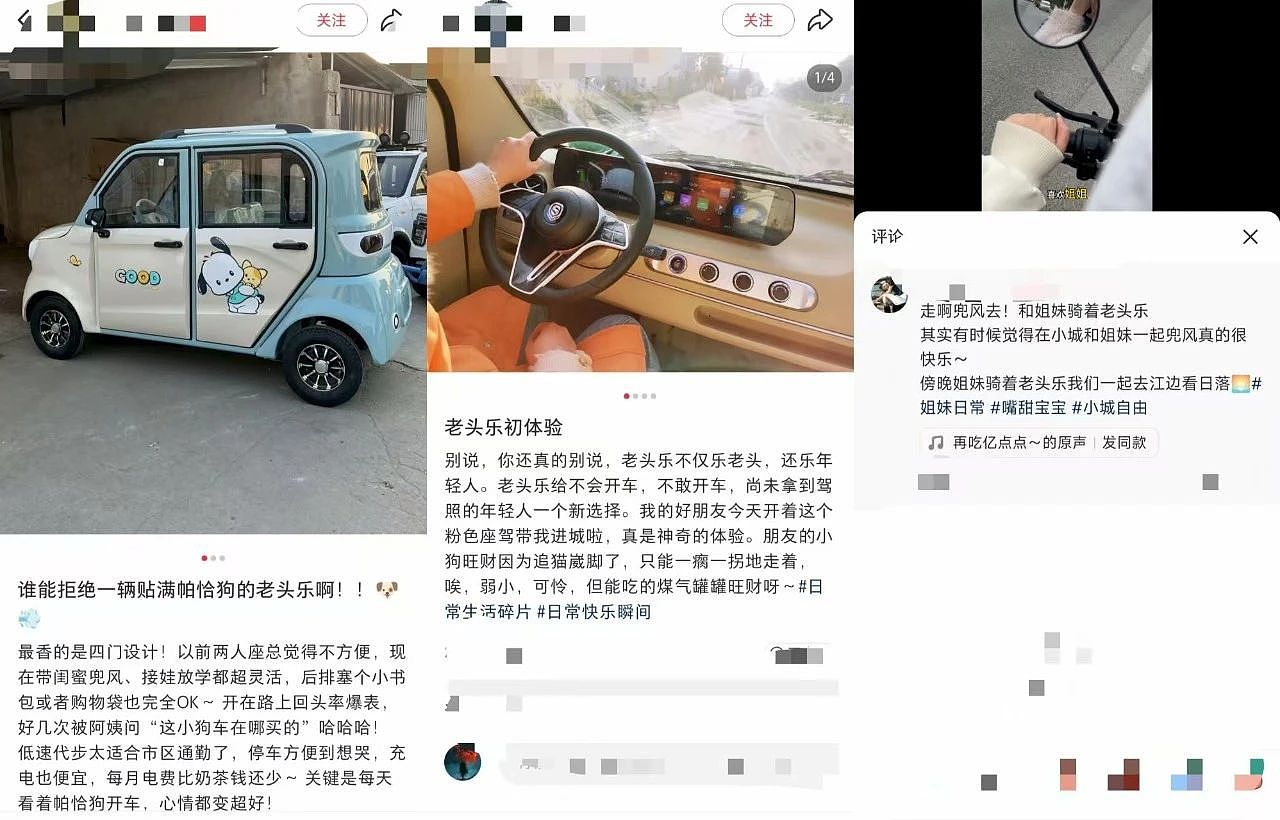 县城贵妇快乐源泉:老头乐(组图) - 10