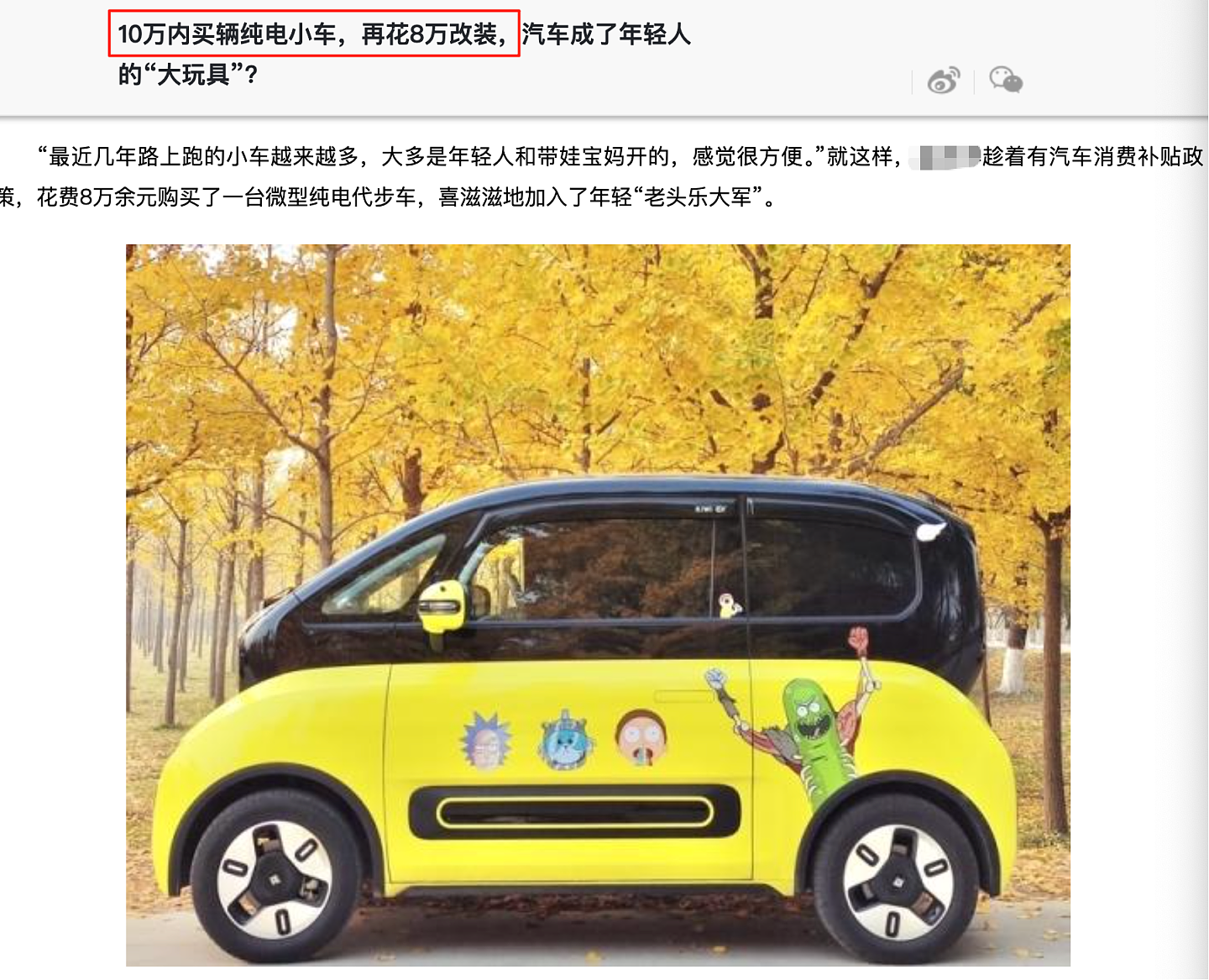 县城贵妇快乐源泉:老头乐(组图) - 6