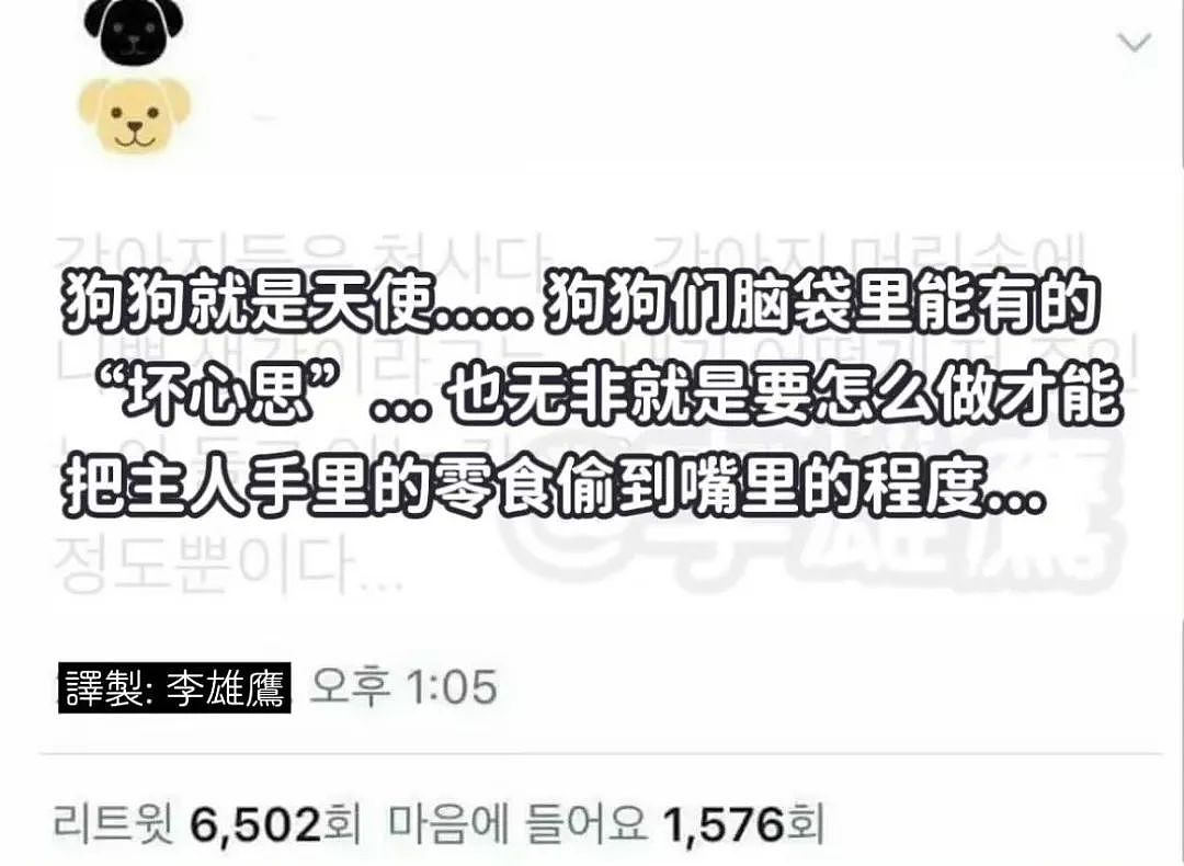 【爆笑】“上班摸鱼不要随便复制群里的八卦！” 哈哈哈哈哈笑得我发癫（组图） - 60