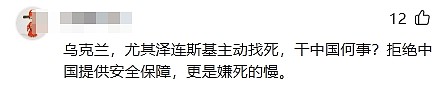 网友吵翻!泽连斯基称无需中国提供安全保障,胡锡进:很没素质(组图) - 5