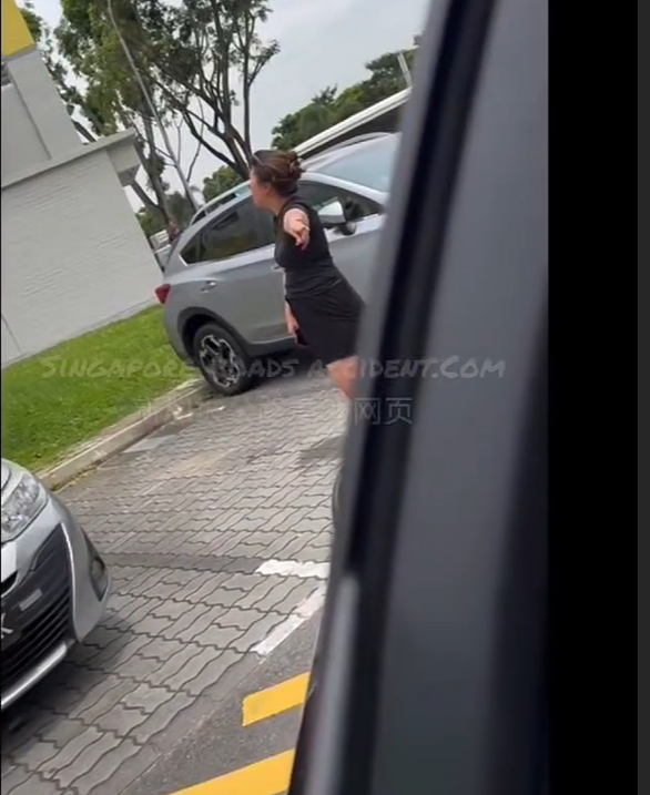 “他妈的回去中国吧，X你妈的！”新加坡停车场倒车被堵遭国骂、比中指（组图） - 3