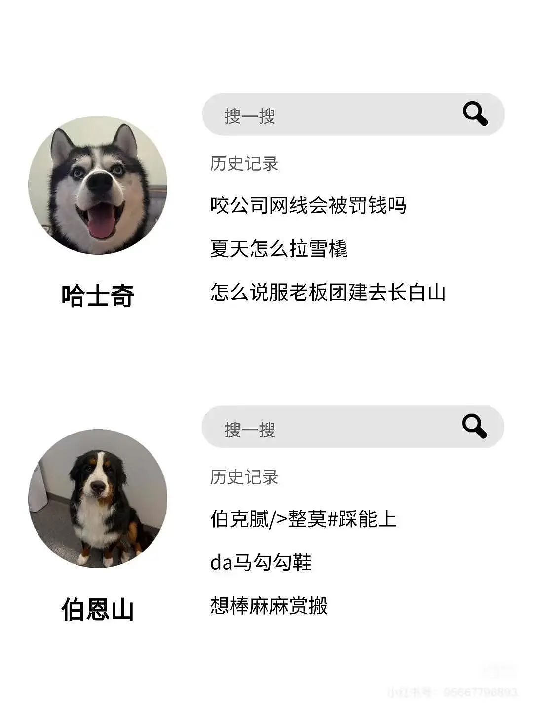 【爆笑】“上班摸鱼不要随便复制群里的八卦！” 哈哈哈哈哈笑得我发癫（组图） - 94