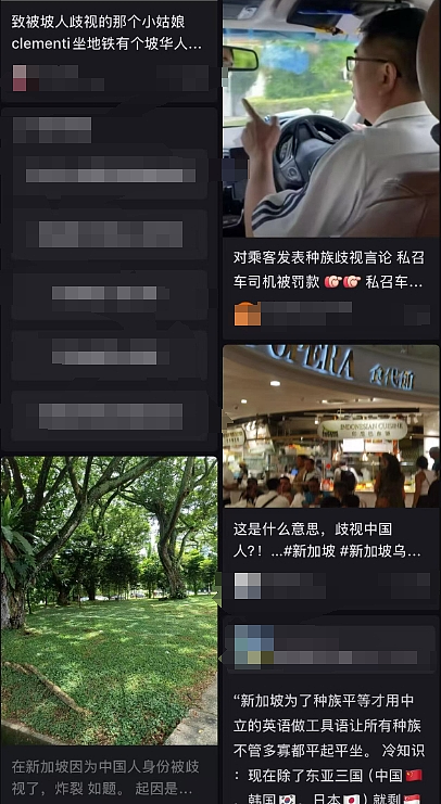 “因为我是中国人吗?”在新加坡机场被抓男子控诉执法人员:双标、种族歧视…(组图) - 16