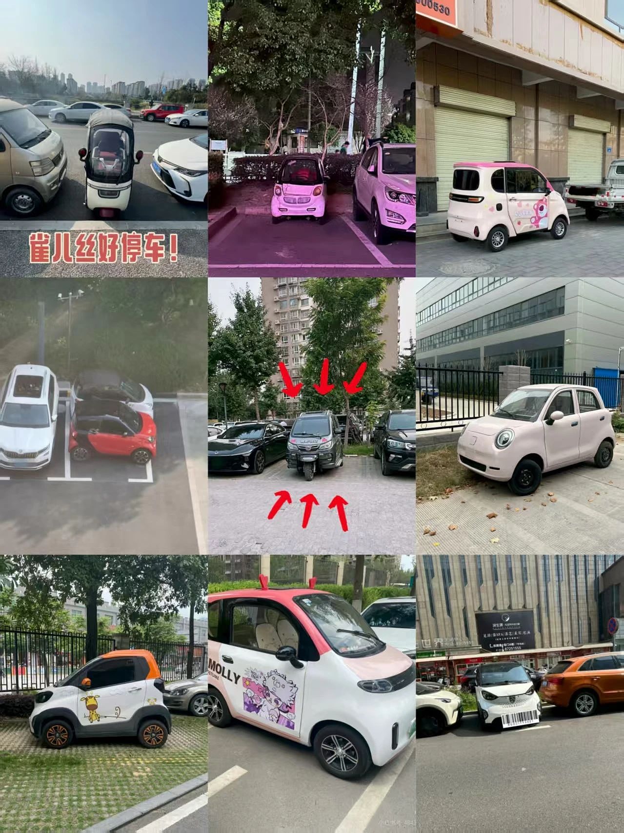 县城贵妇快乐源泉:老头乐(组图) - 17