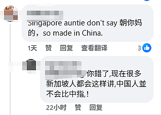 “他妈的回去中国吧，X你妈的！”新加坡停车场倒车被堵遭国骂、比中指（组图） - 9